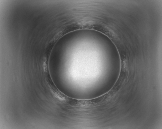 X0000070400963200606121259