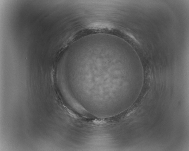 X0000070400965200606121259