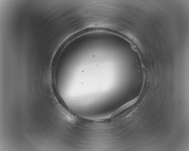 X0000070400976200606121259