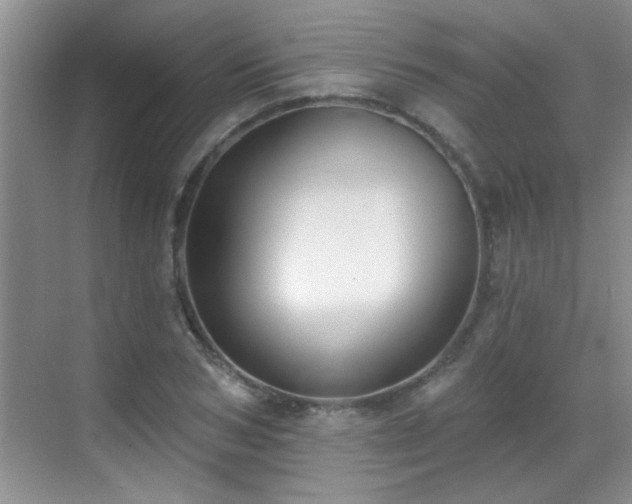 X0000070400978200606121259