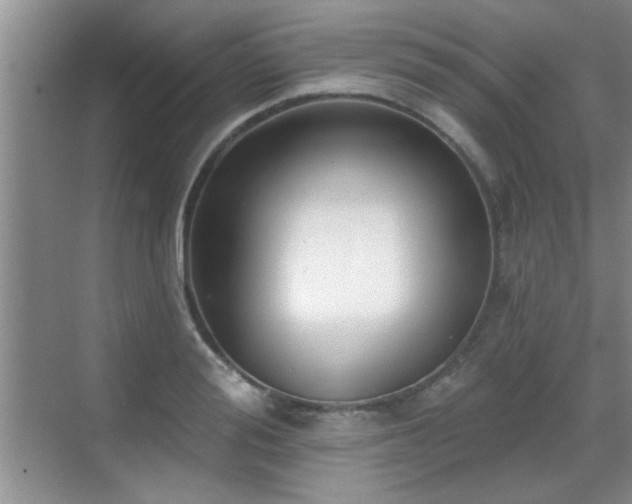 X0000070400988200606121259