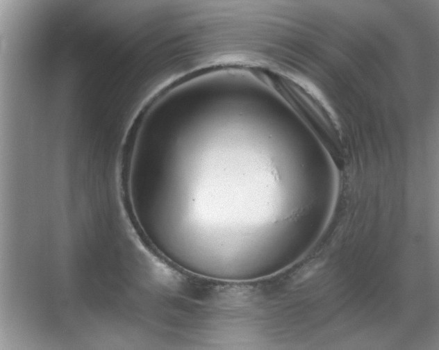 X0000070400991200606121259