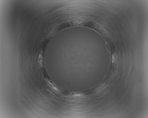 X0000070401011200606121258