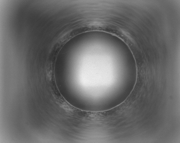 X0000070401015200606121258