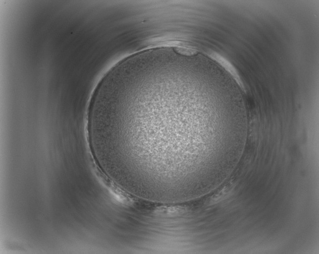 X0000070401051200606121259