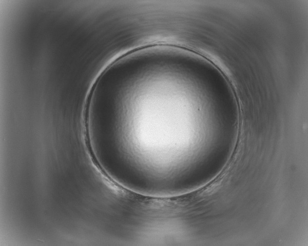 X0000070401056200606121259
