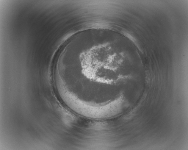 X0000070401074200606121258