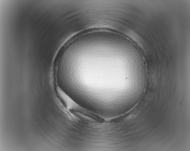 X0000070401076200606121258