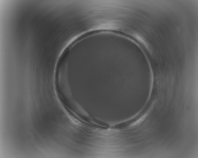 X0000070401077200606121258