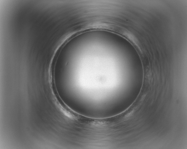 X0000070401082200606121257