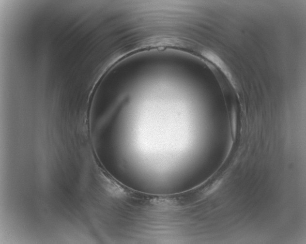 X0000070401089200606121257