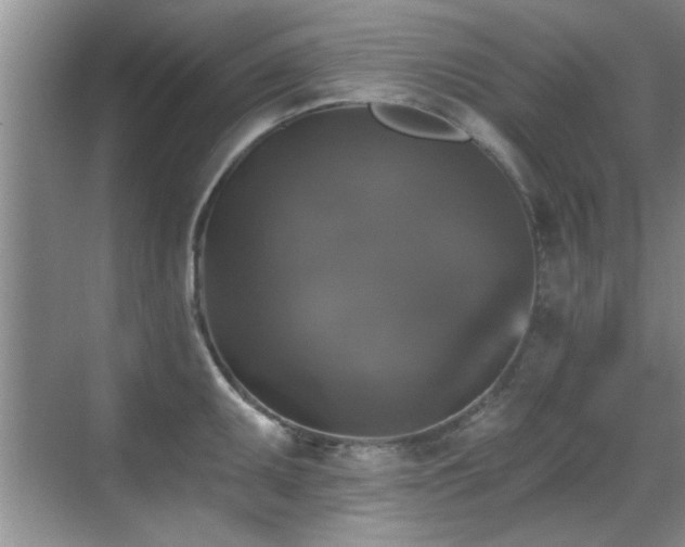 X0000070401095200606121257