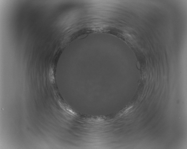 X0000070401106200606121256