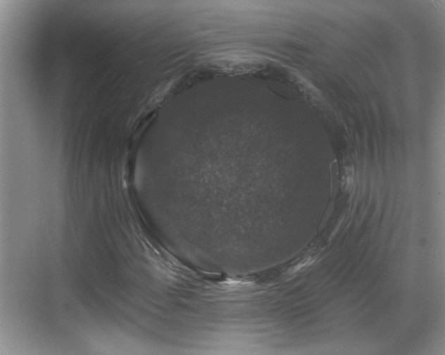 X0000070401108200606121256