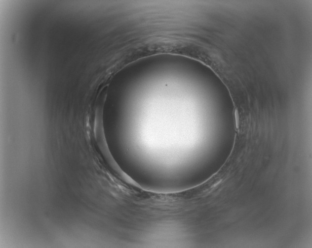 X0000070401109200606121256