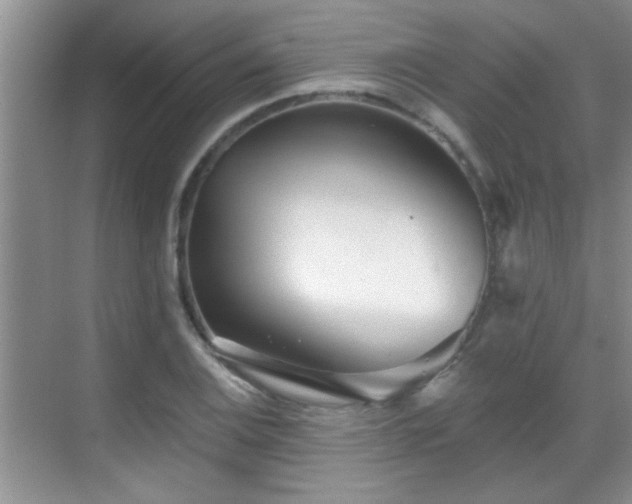 X0000070401124200606121257