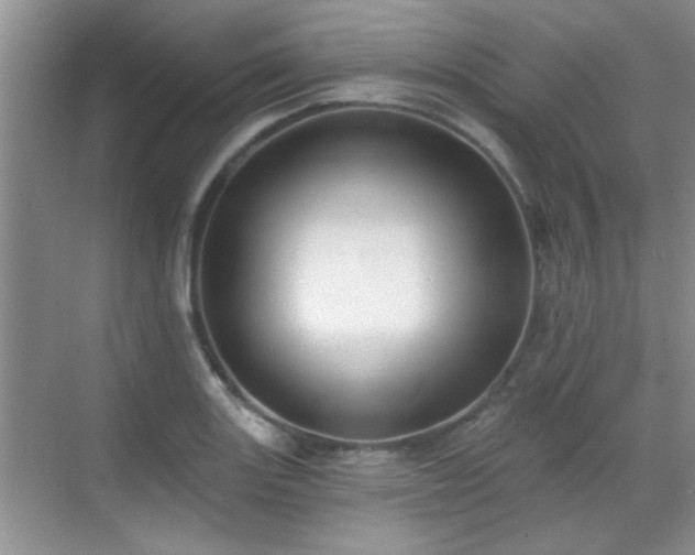 X0000070401131200606121257