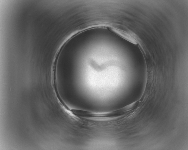 X0000070401151200606121257