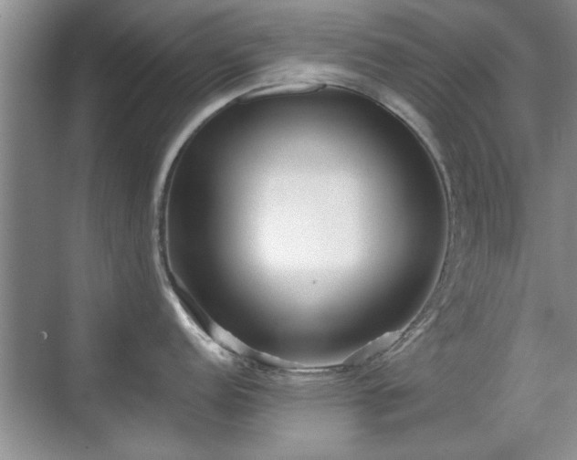 X0000070401152200606121257