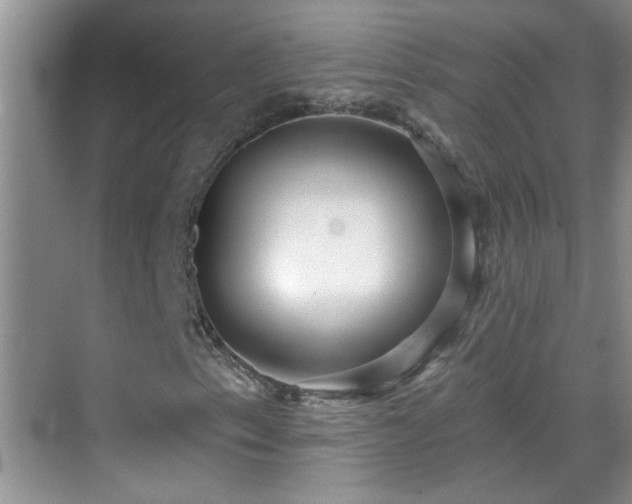 X0000070401153200606121256