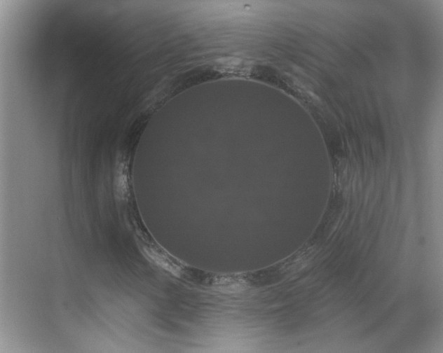X0000070401154200606121256