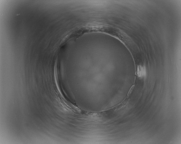 X0000070401155200606121256
