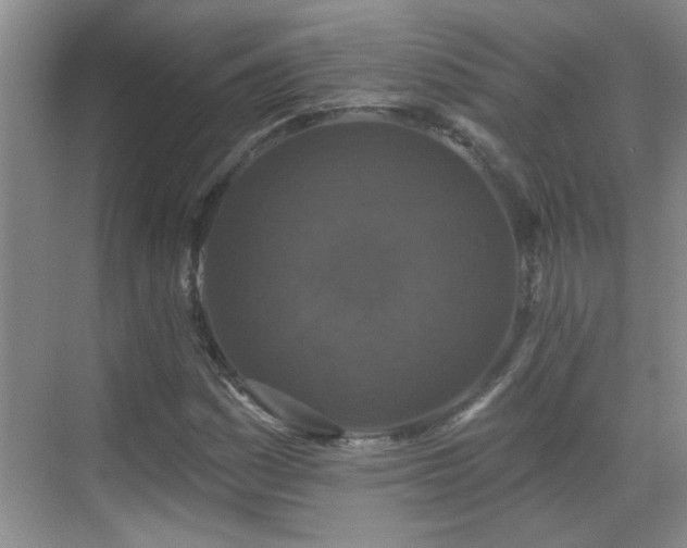X0000070401161200606121256