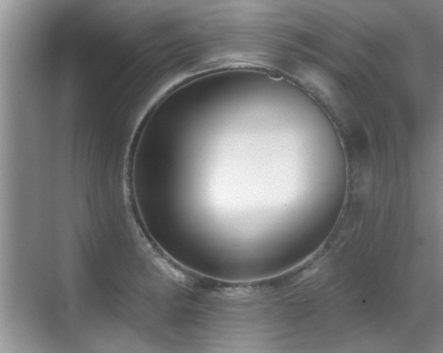 X0000070401182200606121256