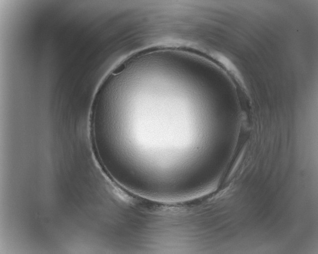 X0000070401183200606121256