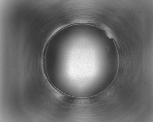 X0000070401187200606121256