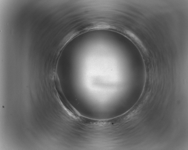 X0000070401193200606121256