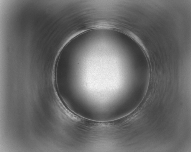 X0000070401195200606121256