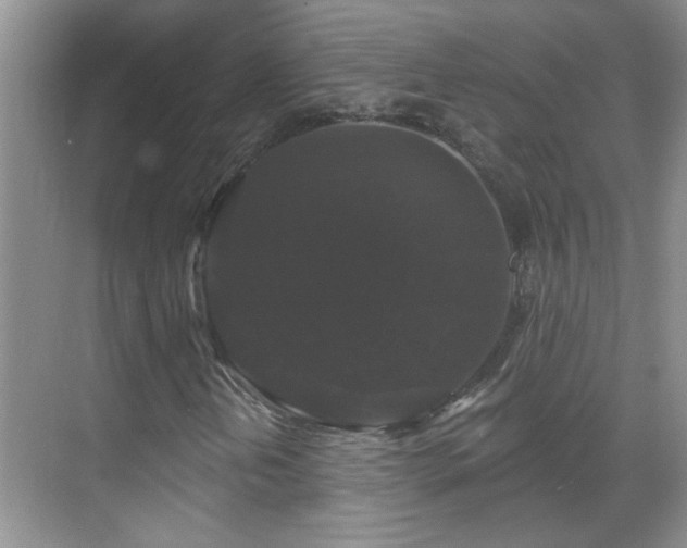 X0000070401202200606121255
