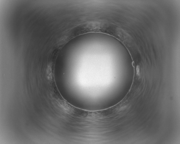 X0000070401203200606121255