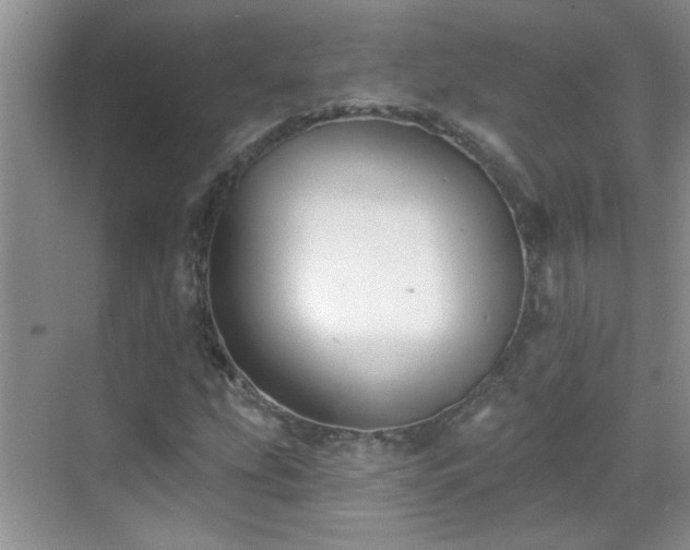 X0000070401207200606121255