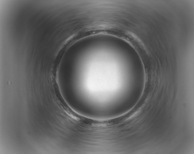 X0000070401210200606121255