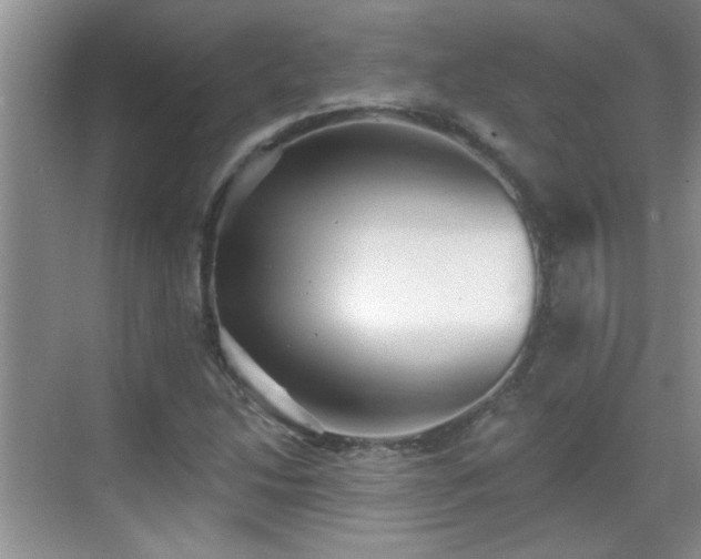 X0000070401214200606121255