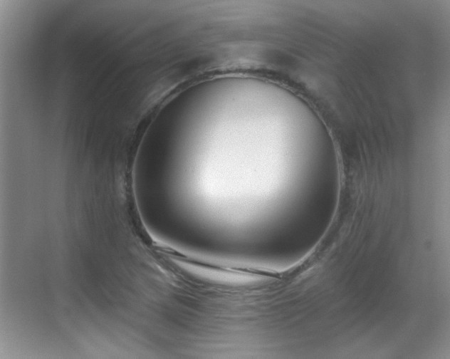 X0000070401217200606121255