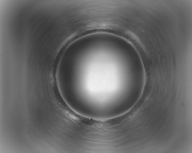 X0000070401218200606121255