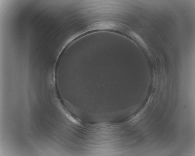 X0000070401226200606121255