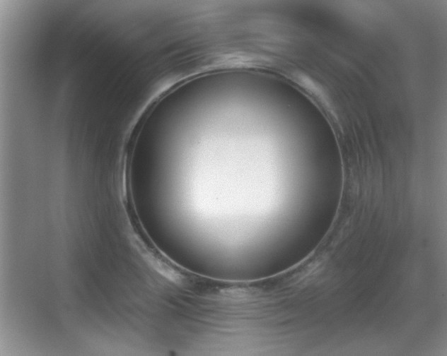 X0000070401227200606121255