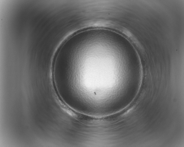 X0000070401232200606121255