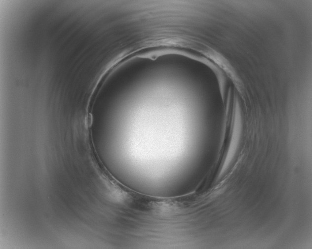 X0000070401234200606121255