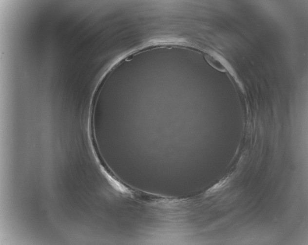 X0000070401245200606121255