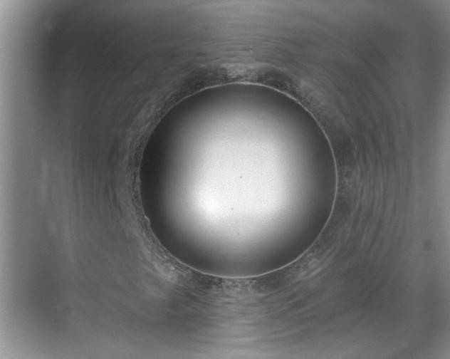 X0000070401249200606121255