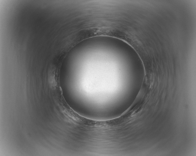 X0000070401250200606121255