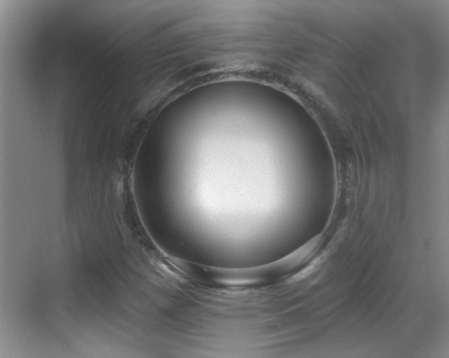 X0000070401257200606121255