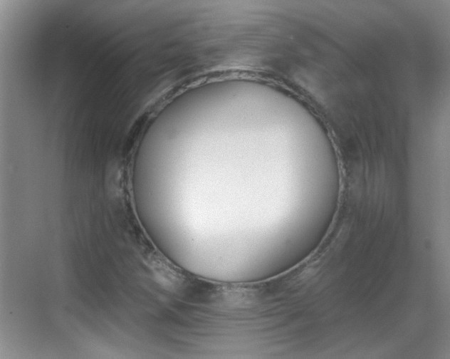 X0000070401258200606121255