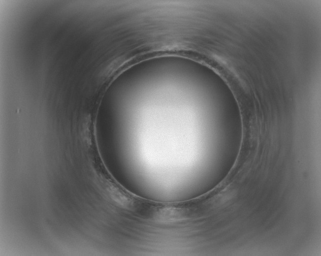 X0000070401265200606121254