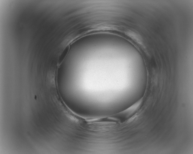 X0000070401273200606121254